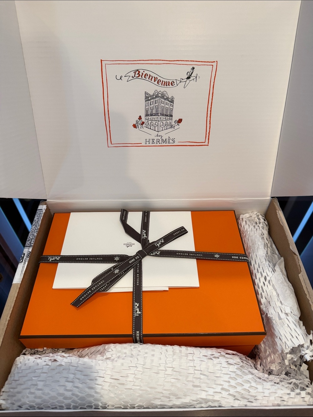 Hermès shoe Box with Ribbon and outer box, dust bag, everything in the pictures